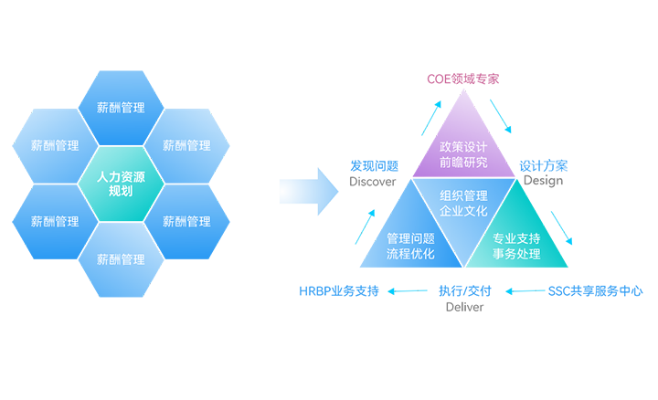 人(rén)才培育與管理(lǐ)體系