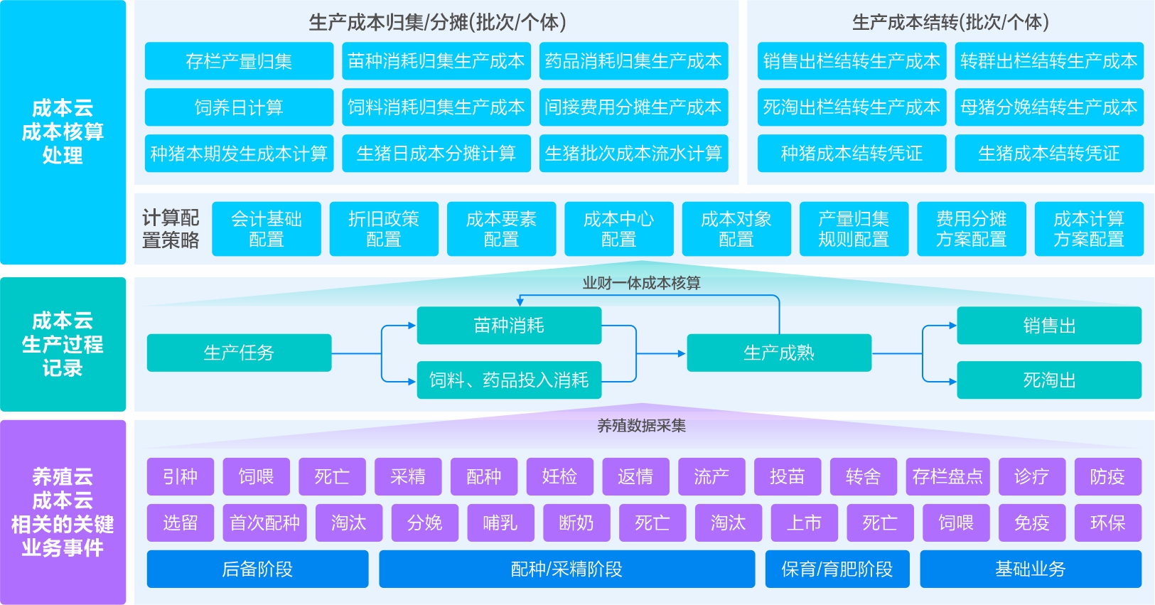 成本領先